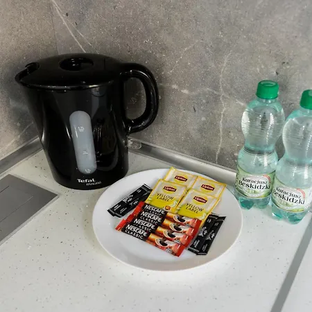 Apartment Wierzbiecice Comfort By Bookinghost Poznan